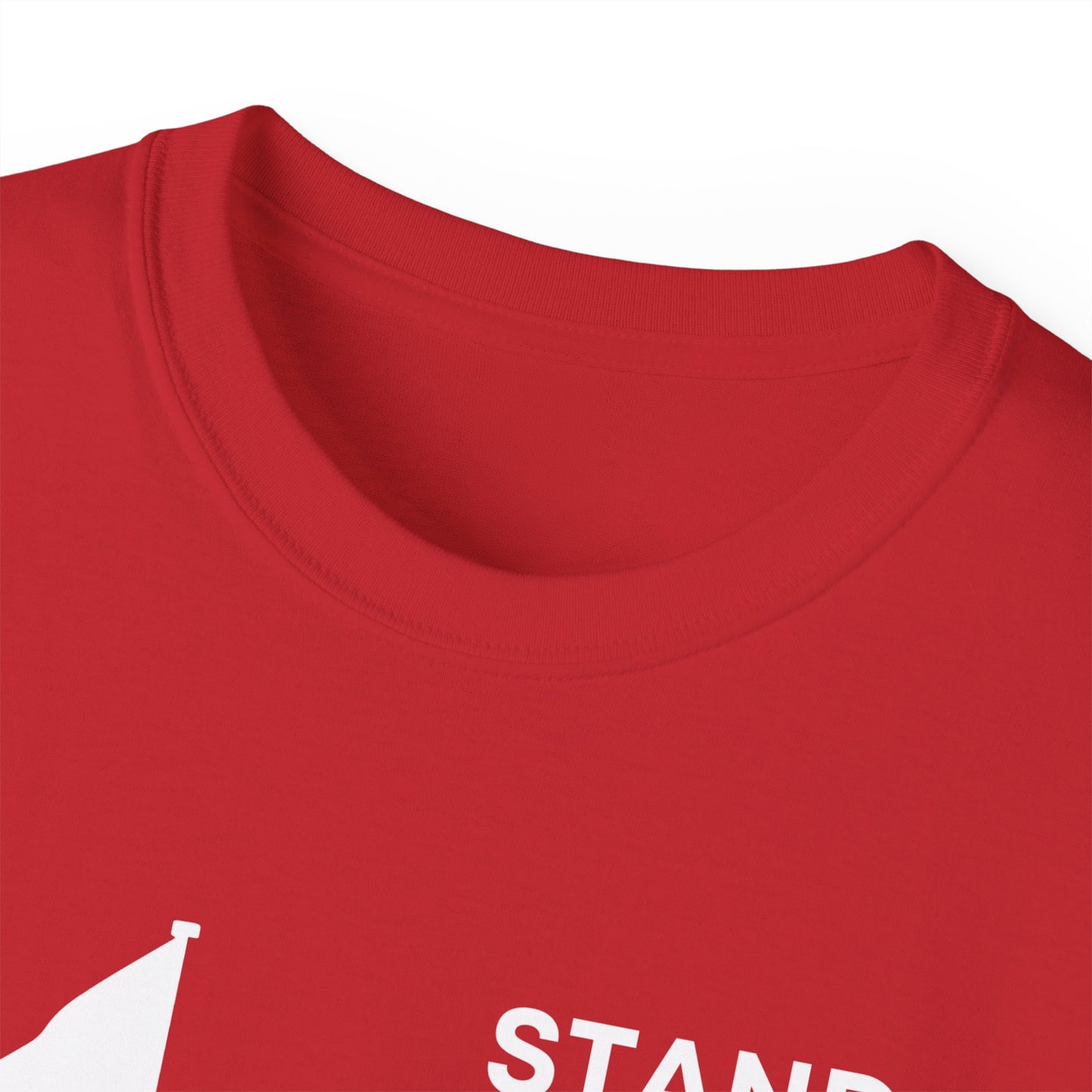 Stand and Salute